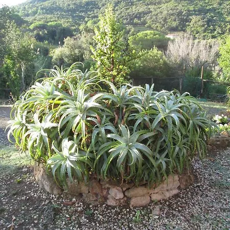 Farm stay Agriturismo Amandolo *